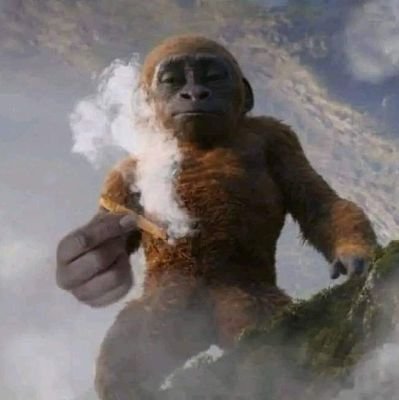 genantisocial's profile picture. 🪐🪐🪐