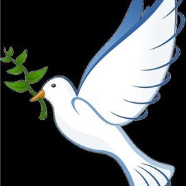Michiyo1219462's profile picture. お金の悩み解決術やお得な情報など共有中。私自身お金に苦労した経験からお金に困っている方を助けたいと思い、少しですが10万円プレゼント企画を実施しております♬ なくなり次第終了→ https://t.co/jVsYrVw3oJ