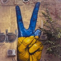 Eagle from the north (@eagleftn) 's Twitter Profile