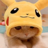 RONTAMA@HTW/Kiki1🐥 (@m12fd044) 's Twitter Profile