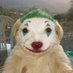 martim (@mkultra999) Twitter profile photo martim (@mkultra999) Twitter profile photo