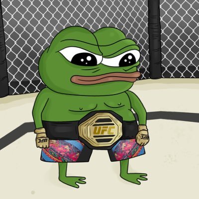 America First | Mexican-American | UFC Fan | Law School | Accountant |