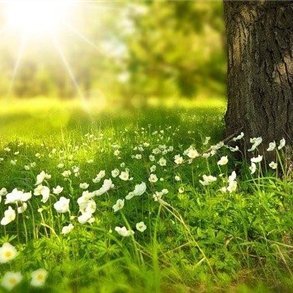 お金に恵まれる方法やお得情報など紹介中。私自身お金に苦労したのでお金に困窮している人の力になれればと思い、多少ですが現金プレゼント企画を始めました★ なくなり次第終了▷ https://t.co/OsXnuKZv0h