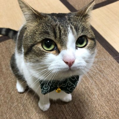 Newstabille's profile picture. I? I am the monument to all your sins