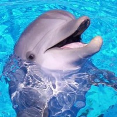 PeterWBe's profile picture. 