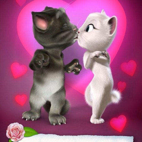 mayramedinay's profile picture. 