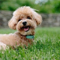 効率よくお金を増やす秘訣や副業情報などお伝えしたりしています。自分自身お金に苦労したのでお金に困窮している人の力になれればと思い、わずかですが現金プレゼント企画を実施しております♫ 支援中⇒ https://t.co/r7YiLWEEqW