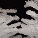 M S - @MaxEstepSmith - Twitter