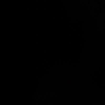 nooseeee21's profile picture. 