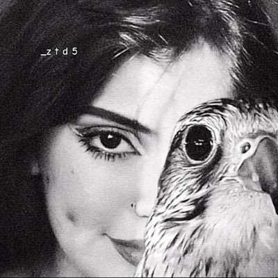 d_v8b7's profile picture. 