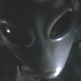 dragonetti84_'s profile picture. 