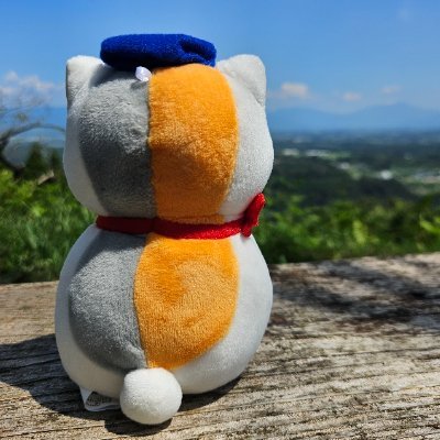 かつお武士さんのプロフィール画像