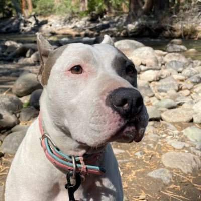 JamseyKrams's profile picture. 9% Gamer 91% Real Lifer