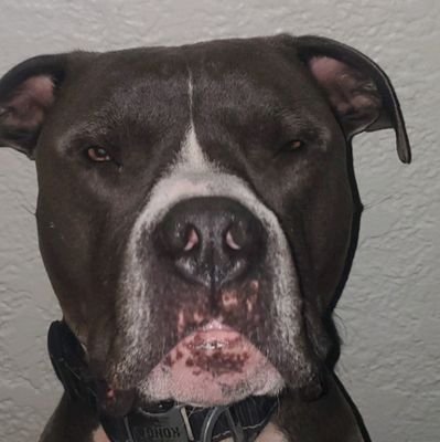 LegendWaldo's profile picture. 