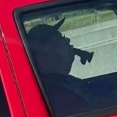 RealRacistOnX's profile picture. 