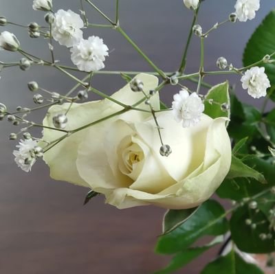 6CDoAjjZgs3uhwH's profile picture. ラウールを応援したいだけのポスト