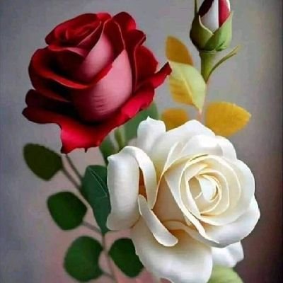 Mq4Reeam's profile picture. 