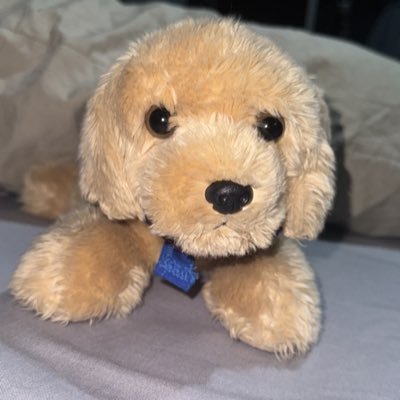 IanEscobar05's profile picture. 