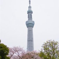 Tomiko (@tomiko184413) 's Twitter Profile