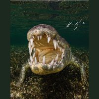 Mr Fibo 🎩 (@sdtfndi) Twitter profile photo