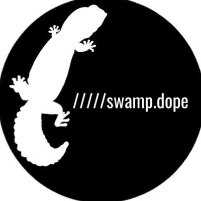 swamp_dope_'s profile picture. 第1種動物取扱業取得予定。ニシアフ.ブラックナイト.フトアゴダークレッドブリード挑戦します。 ꧁offical recognition꧂ @fattail_aoto @funny_tail_   @Futoago1616 🐕🐈🐟🦎🪲飼育しています。