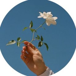 TamLe01132657's profile picture. 