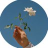 TamLe01132657's profile picture. 