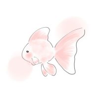 きんとと (@_kintot0_) 's Twitter Profile