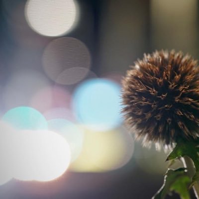 ginza444's profile picture. 