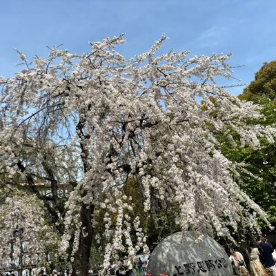 rUzXddG0vA9853's profile picture. 2025 AWS Top Engineers / 2024 AWS Jr. Champions / 技術ブログ : https://t.co/flrdEFw399 / SpeakerDeck : https://t.co/azNPbINUzf