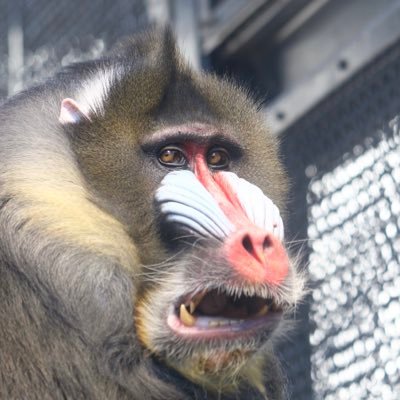 junpei  D Xさんのプロフィール画像