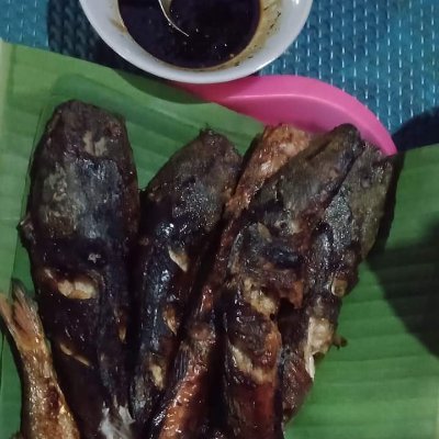 tessimulia's profile picture. 