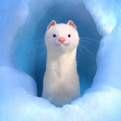 ElKonardo's profile picture. Product Owner