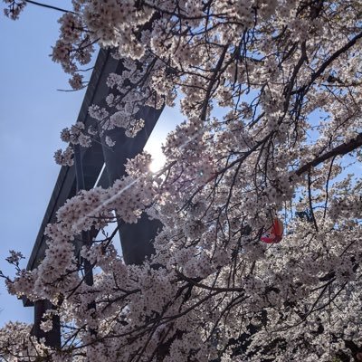 tijmYW7GJq91604's profile picture.