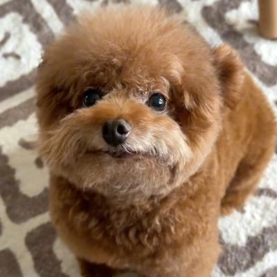 0x__LLL's profile picture. 来自@lianzhi_crypto的alpha hunter，各位大佬多多指教！

更多alpha内容：https://t.co/m2InWLzaNI