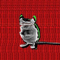 nurebairo.mouse (@magomagodq) 's Twitter Profile