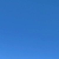 Tama (@fhjbgtbdyvxklk) 's Twitter Profile Photo