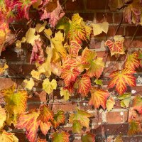 Harrow parkrun (@harrowparkrun) 's Twitter Profile Photo Harrow parkrun (@harrowparkrun) 's Twitter Profile Photo