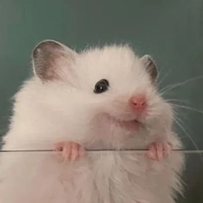 편지라는 건 너무 좋지 않니. 진심이 없으면 아주 작은 공간도 채우기 어렵다는 점에서. /티원현준페구케/한화우제도 언급합니다