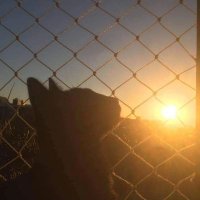 Richies Boyle (@irichyz___) 's Twitter Profile