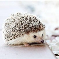 副業の成功法を発信中。副業初心者に役立つ情報をお届け。僅かですが10万円プレゼント企画も始めました。 期間限定➡ https://t.co/qTXDoook5D
