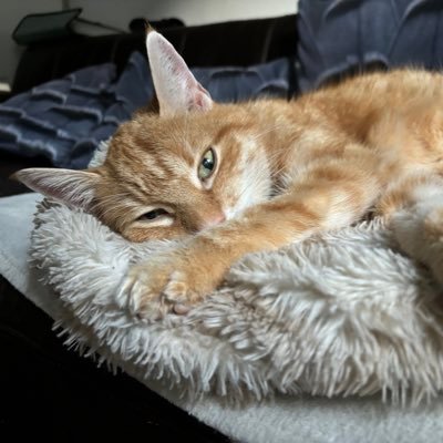 EsBee997210's profile picture. 