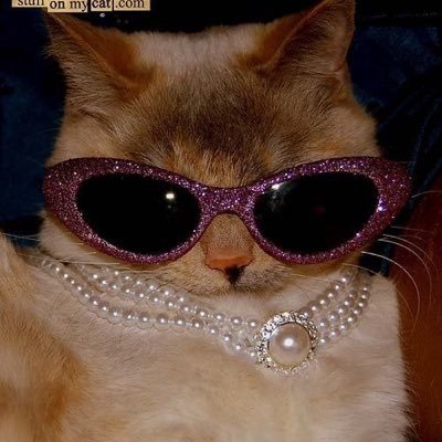 dilara_tae's profile picture. gıcık olduğum her şeyi ortaya döktüğüm mekan