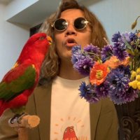 Hideaki Utsumi (@hideaki_utsumi) 's Twitter Profile