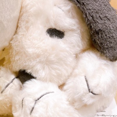 キタ東4ホール　め-24さんのプロフィール画像