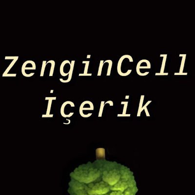 ZenginselI75628's profile picture. 