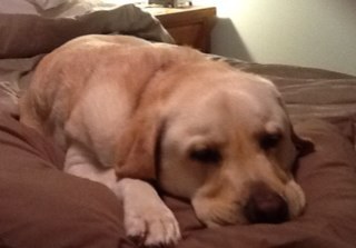 MaroochyQlder's profile picture. 