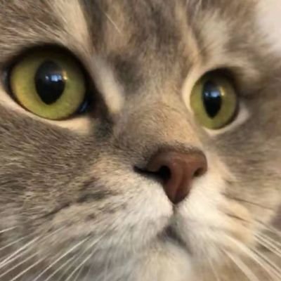 Ebuggmer's profile picture. 