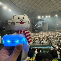 fukuzawa. (@stupid_358) Twitter profile photo