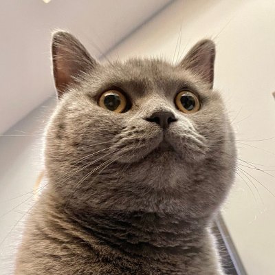 Quartzのアイコン